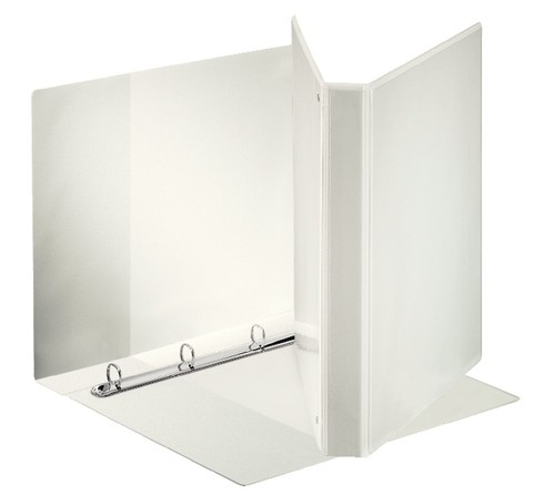 Esselte raccoglitore display - esselte,