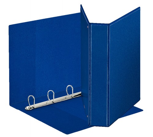 Esselte raccoglitore display - esselte,