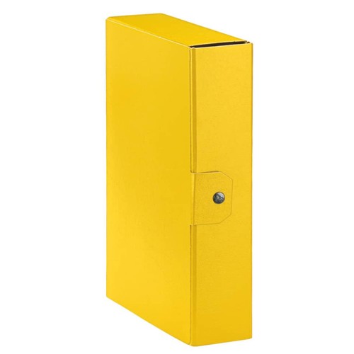 Cartelle portaprogetti esselte - cartelle,